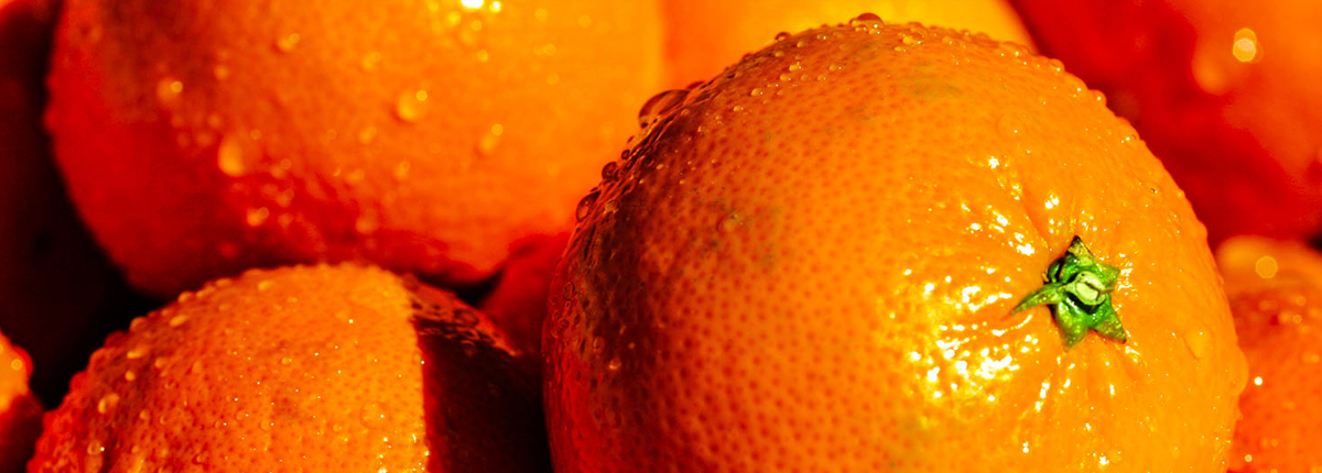 打爆别人手机号的软件